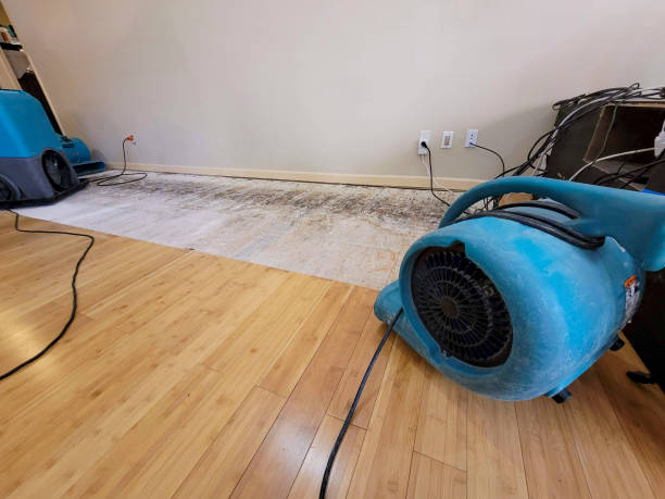 Professional Flood Damage Cleanup technician working in Ames, IA
